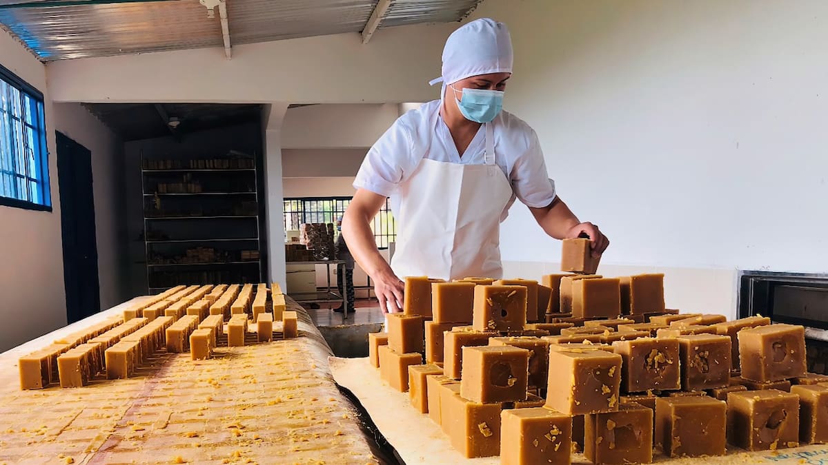 Todo listo para rueda de negocios de paneleros en el Huila