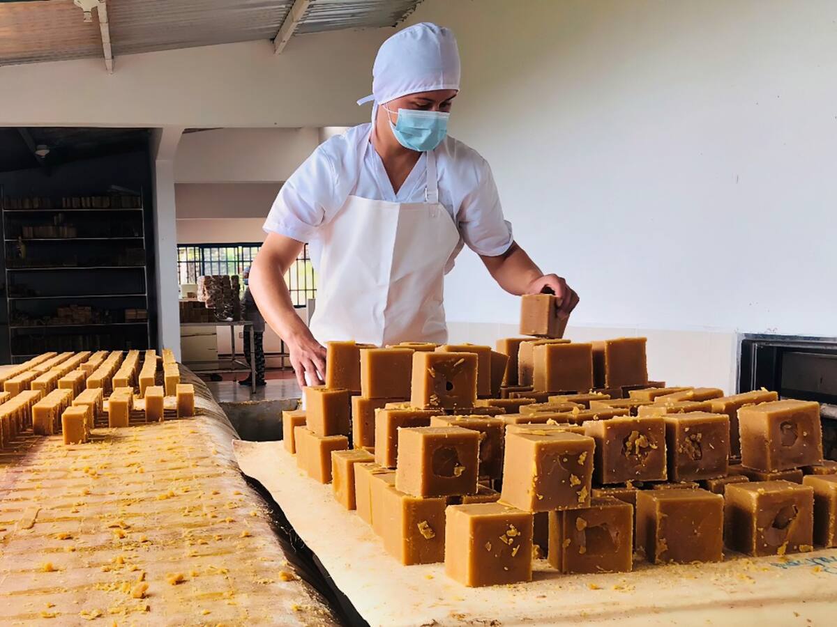 Paneleros en Boyacá celebran decisión de la Superintendencia de Industria y Comercio