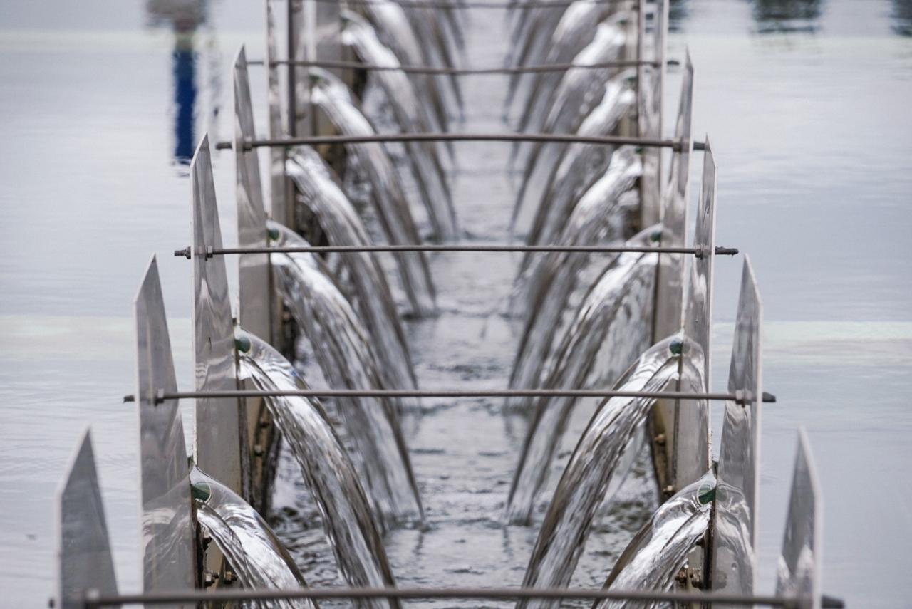 Distrito anuncia medidas para garantizar la calidad del agua en Bogotá. Foto: Secretaría de Salud.