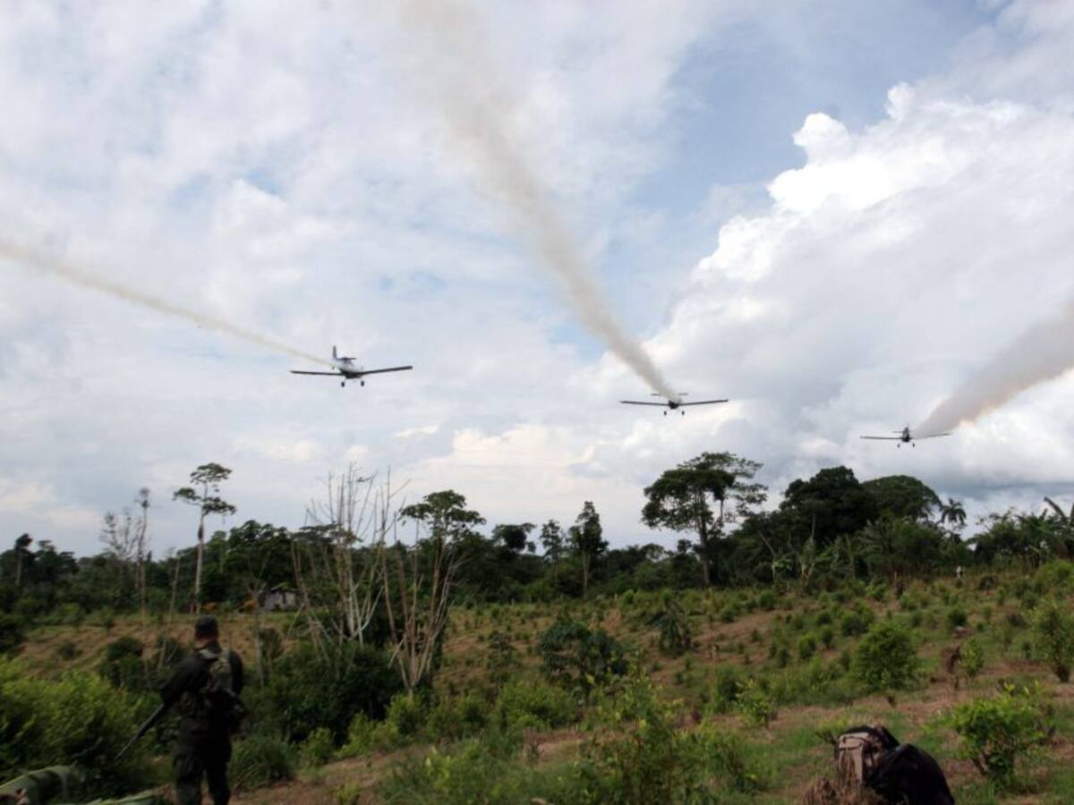 Con demanda, buscan tumbar el decreto que regula la aspersión con glifosato