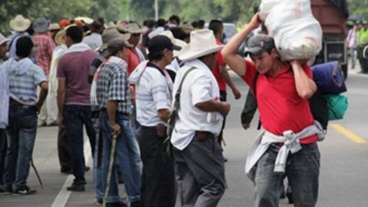 Congresistas del Polo, La U y Conservador unidos por apoyo a protesta cafetera