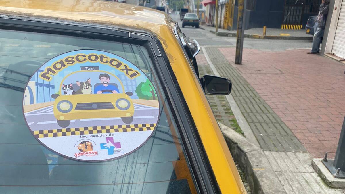 Informe Mascotaxi en Calarcá, Quindío