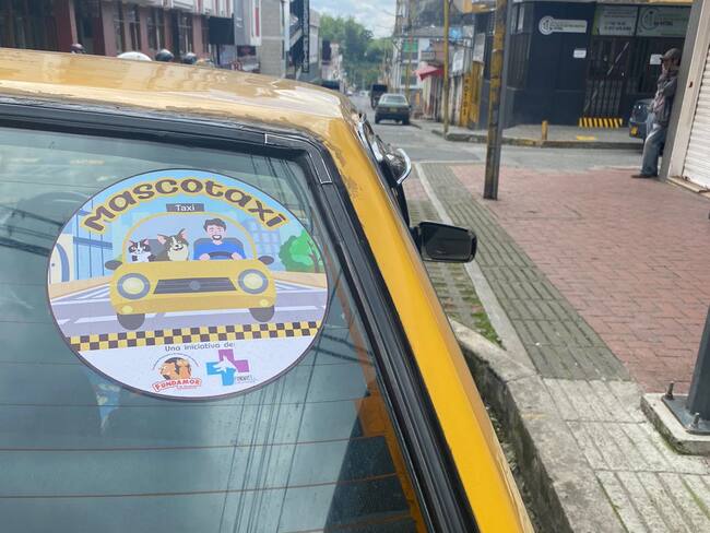 Informe Mascotaxi en Calarcá, Quindío