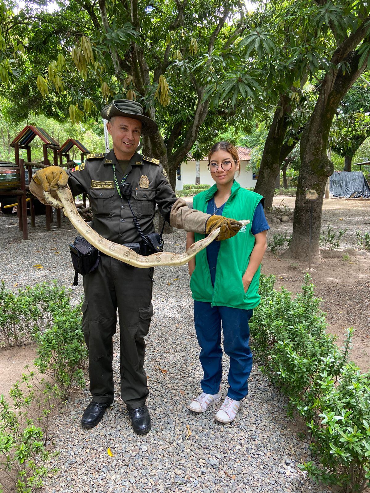 Un llamado a comunidad ha no causar daño a estas especies.