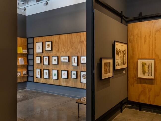 Alcaldía de Pereira.