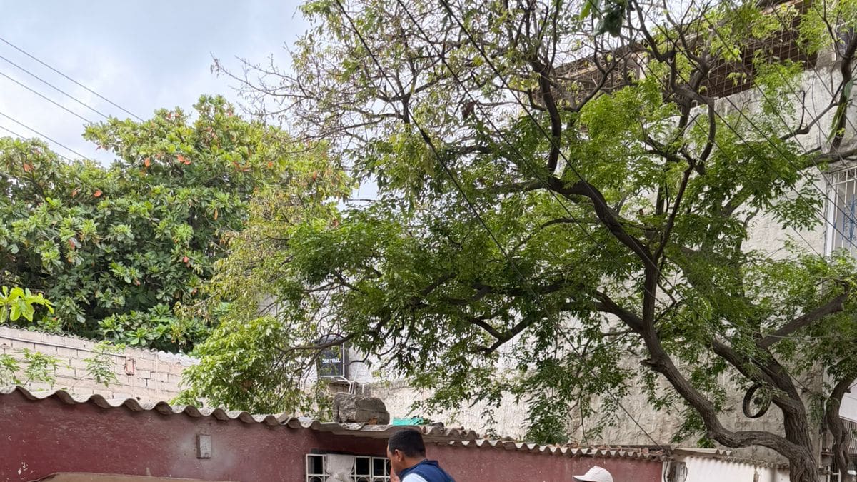 Personería de Santa Marta alerta por daños en viviendas y solicita acción inmediata de ESSMAR