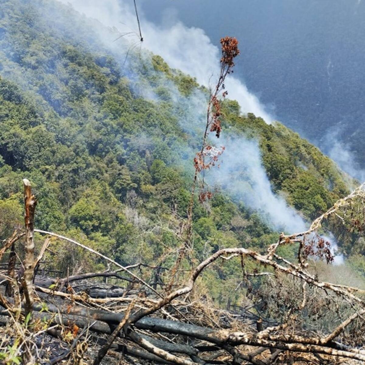 Campesinos de Peque tratan de apagar un incendio vegetal que ajustó cinco días