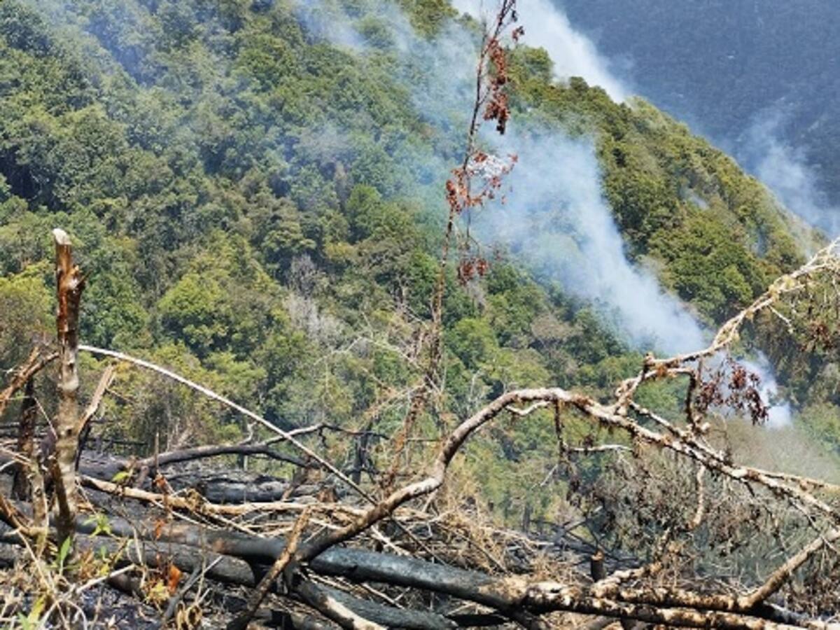 Campesinos de Peque tratan de apagar un incendio vegetal que ajustó cinco días