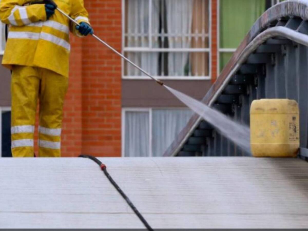 Persona que fumiga las calles de Manizales ha ocasionado la muerte 2 gatos
