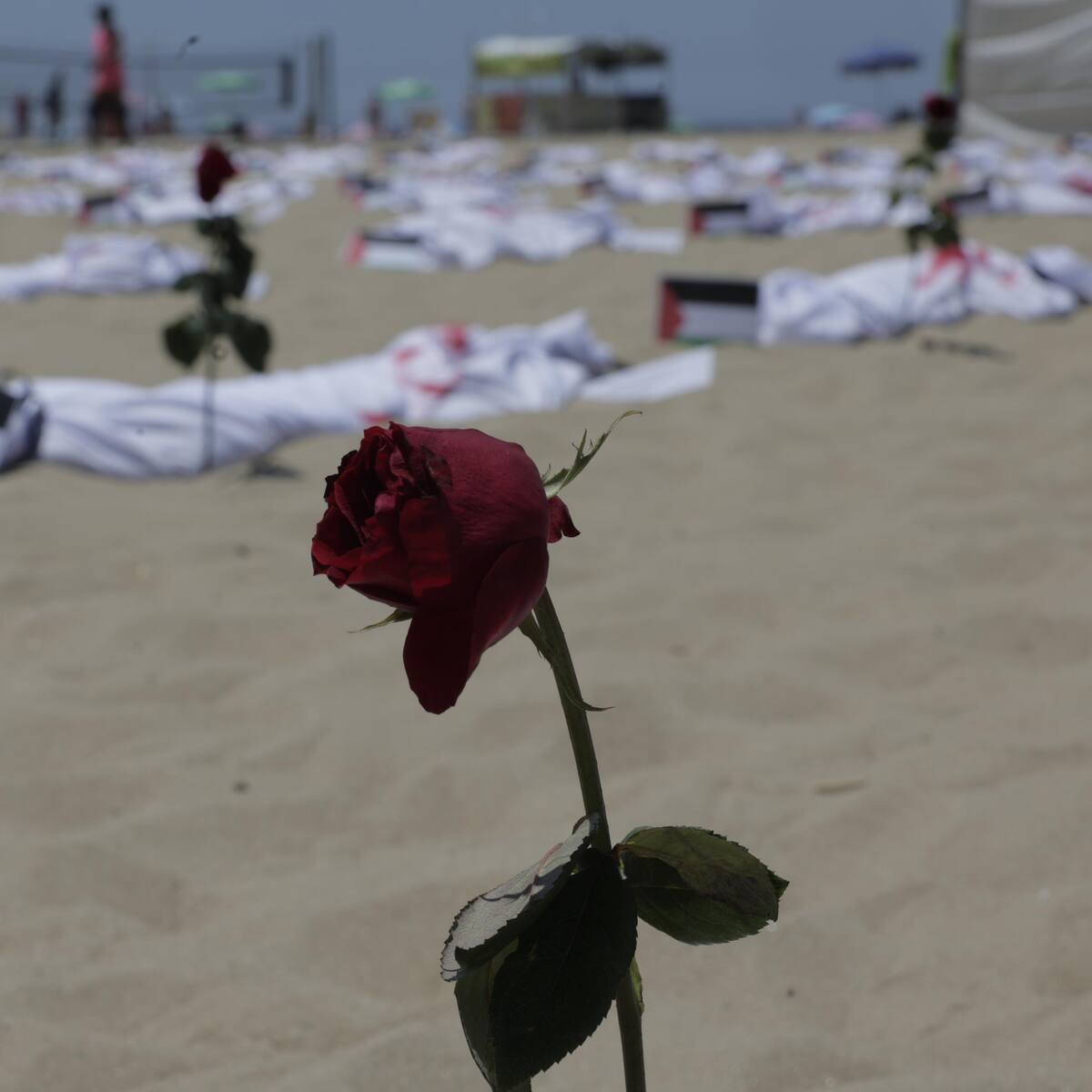 Los muertos en Gaza superan los 34.700, tras al menos 52 fallecidos en las últimas 24 horas