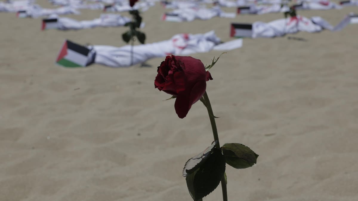 Asesinar palestinos no devolverá los muertos a Israel: director ONG ‘Breaking the Silence’