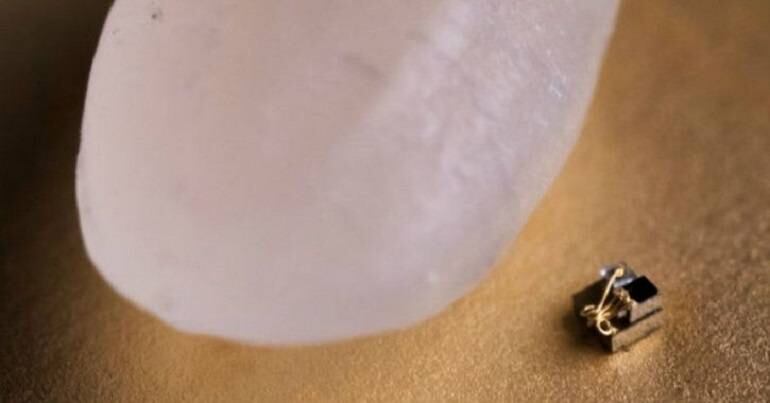 Foto: Universidad de Michigan