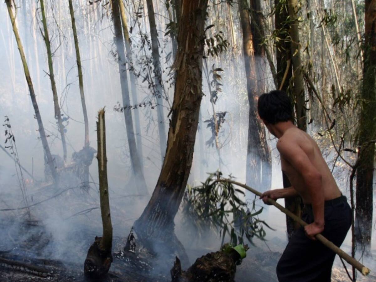 Se mantienen activos 22 los incendios forestales en Colombia