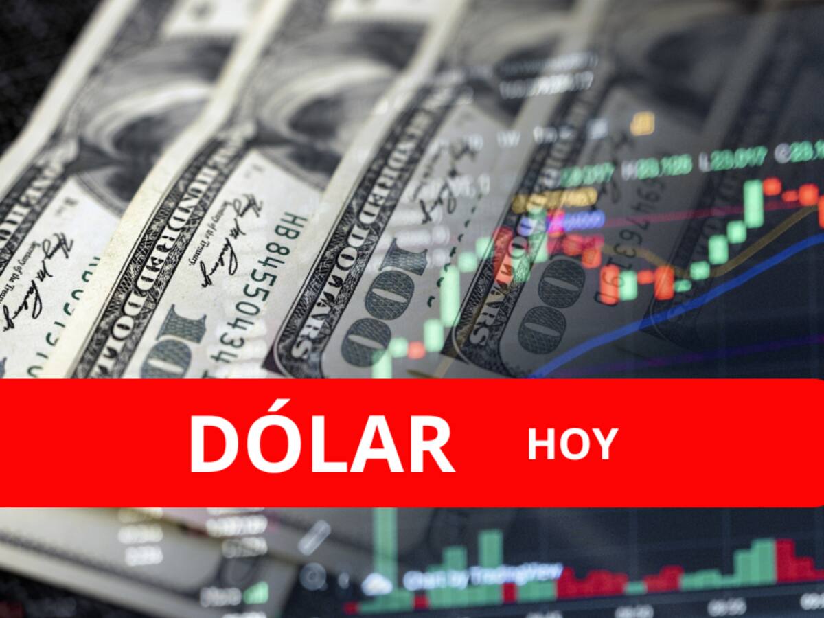 ¿Cómo invertir? Así arrancó el precio del dólar HOY miércoles 14 de agosto en Colombia