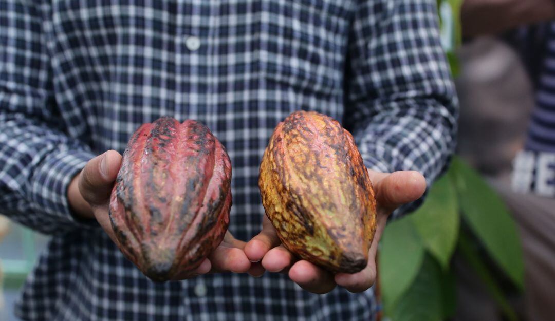 Imagen referencia. Foto: Archivo.