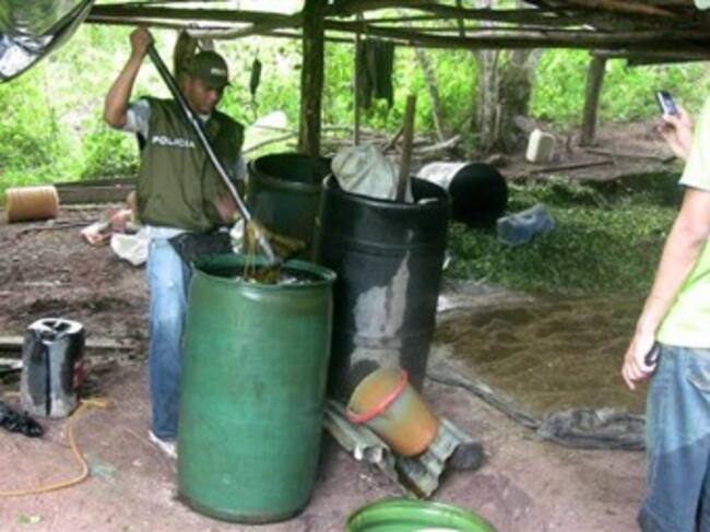 Campamento cocalero. Foto: Colprensa
