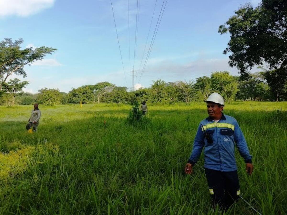 Afinia normalizó servicio de energía tras nuevo robo de cables en norte de Bolívar