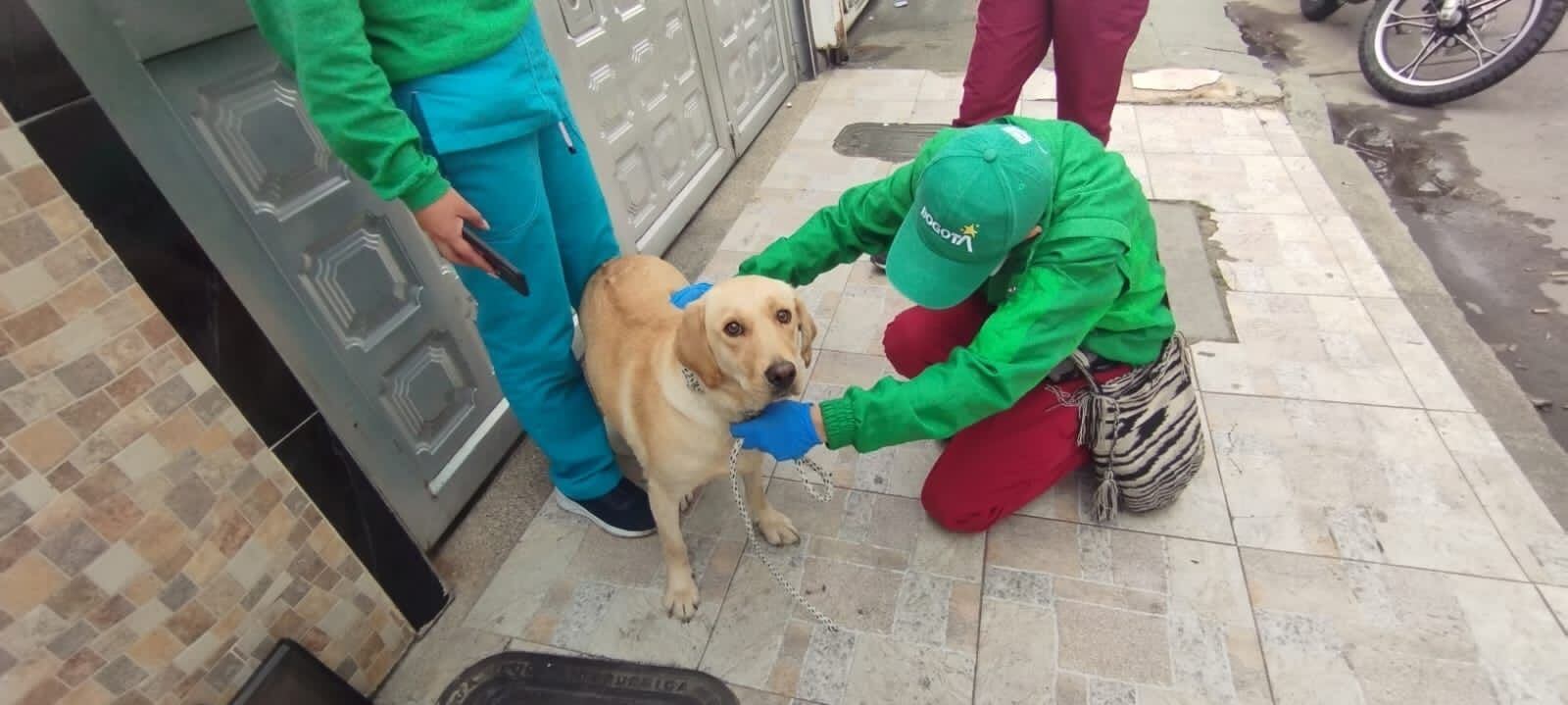 Procuraduría. Foto limonar
