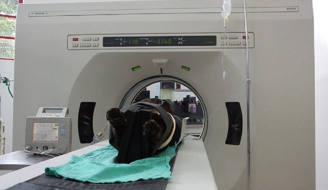 Mascota atendida en la Clínica para pequeños animales de la Universidad Nacional de Colombia.
