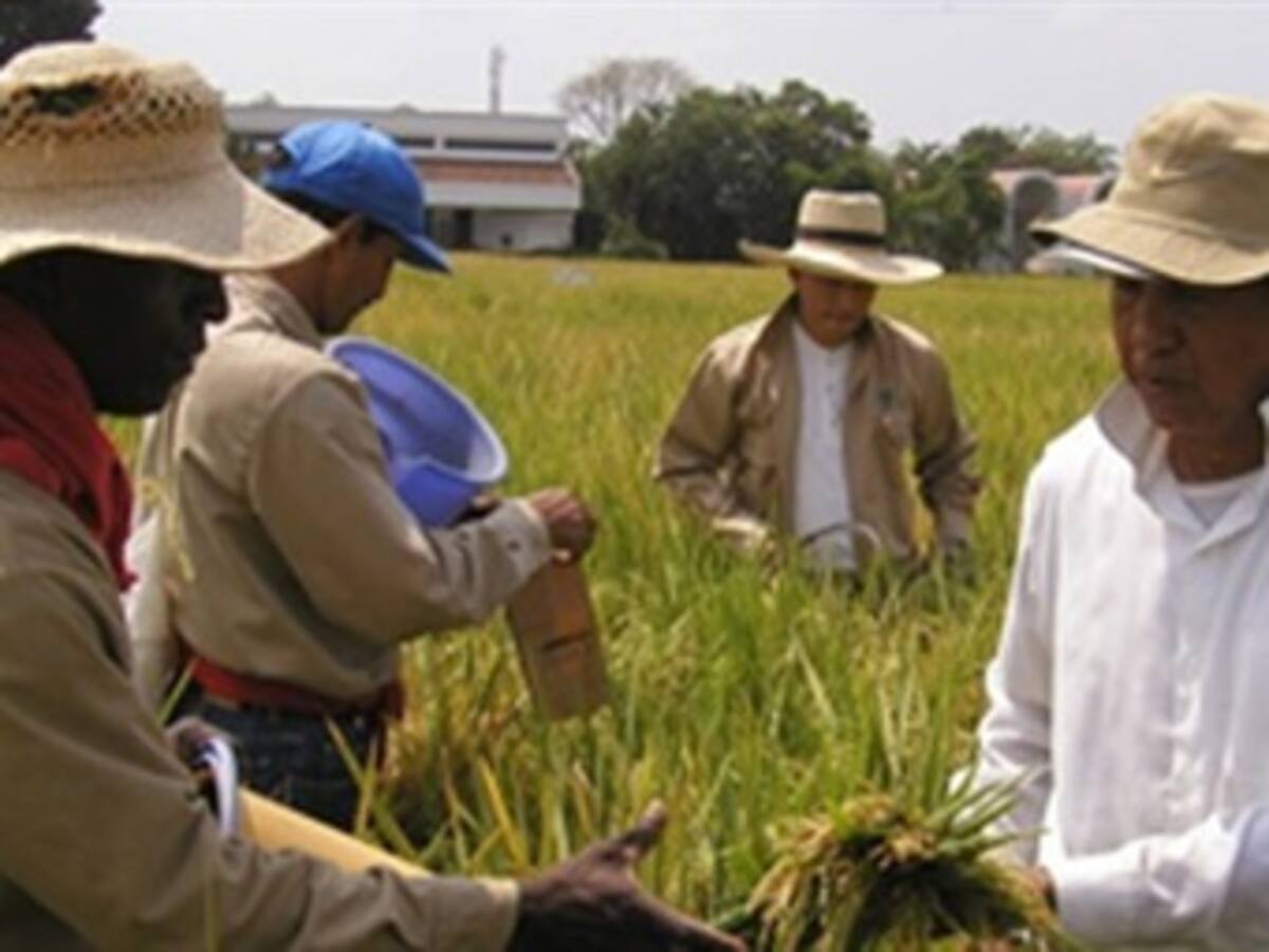 Lista misión para la transformación del campo