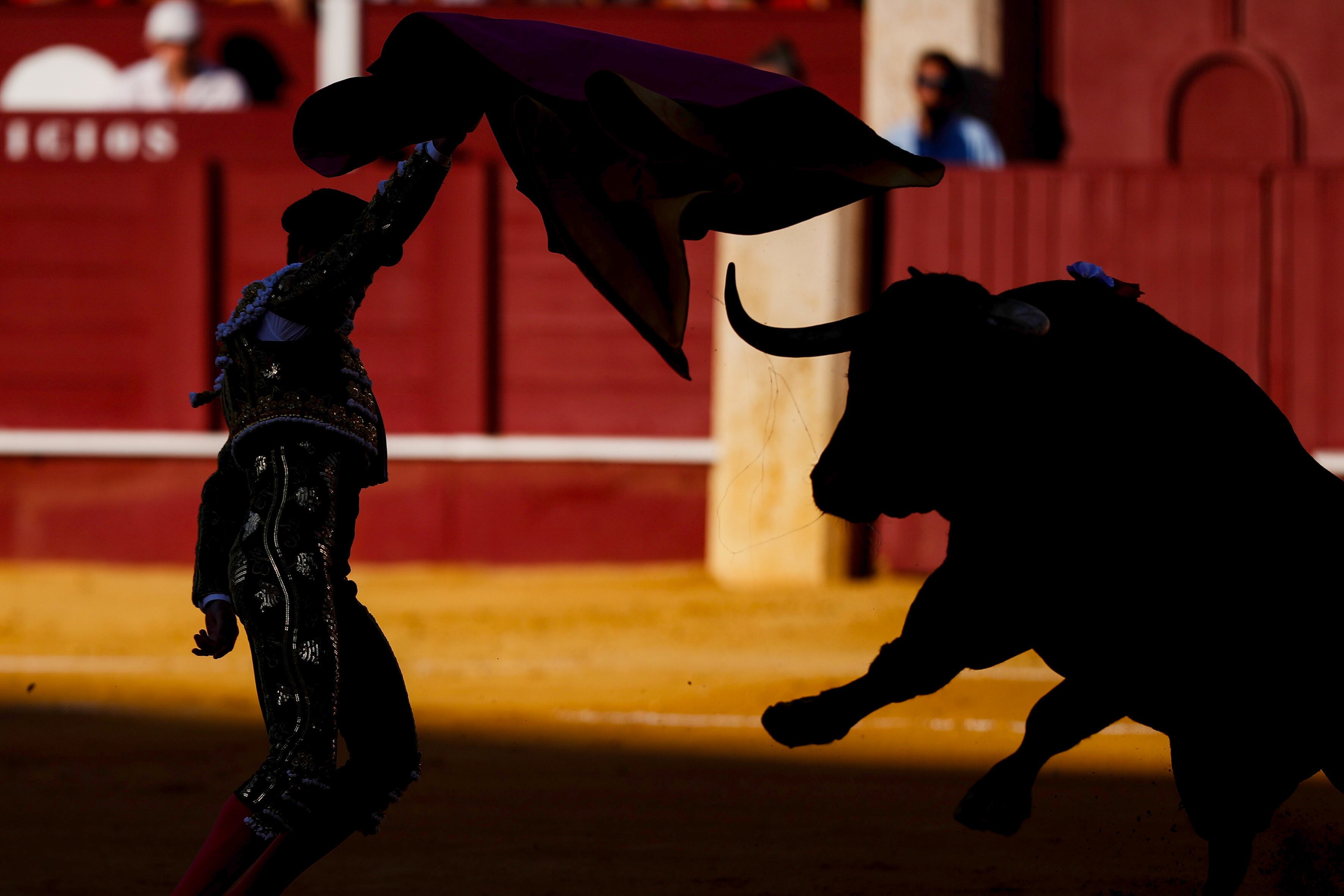 MÁLAGA, 19/08/2024.- El torero Borja Jiménez con su primero en la corrida de este lunes, la sexta de la Feria de Málaga 2024, con los espadas David Galán, Borja Jiménez y Ginés Marín en la Plaza de toros de La Malagueta, Málaga, con toros de Laguna Janda. EFE/ Jorge Zapata