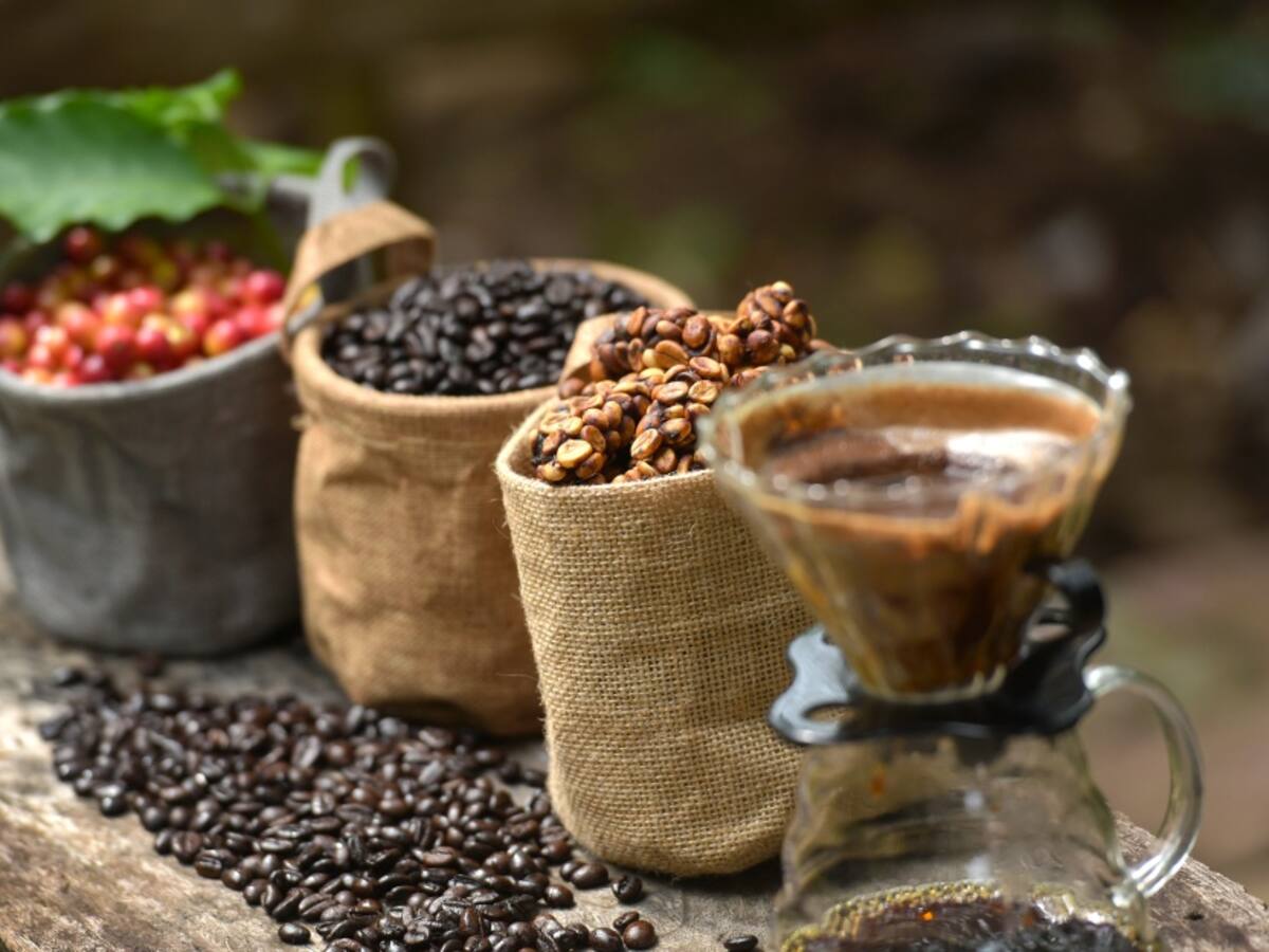 Desarrollan café artificial que mantiene “el sabor y aroma original”