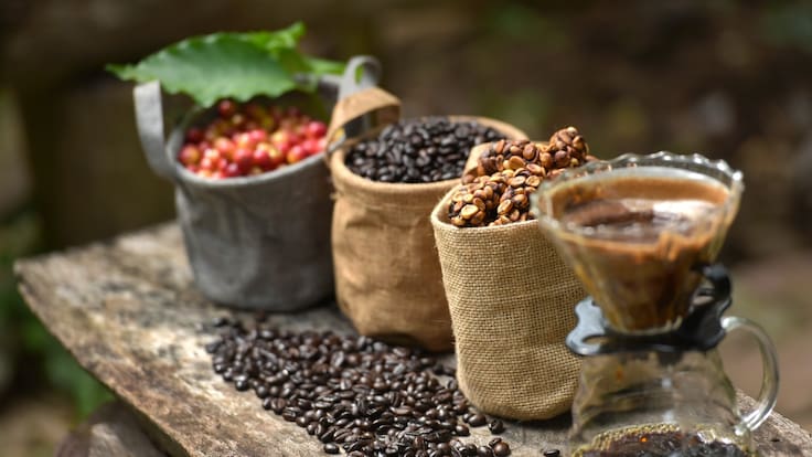 'Café Devoción': uno de los cafés colombianos de mejor calidad