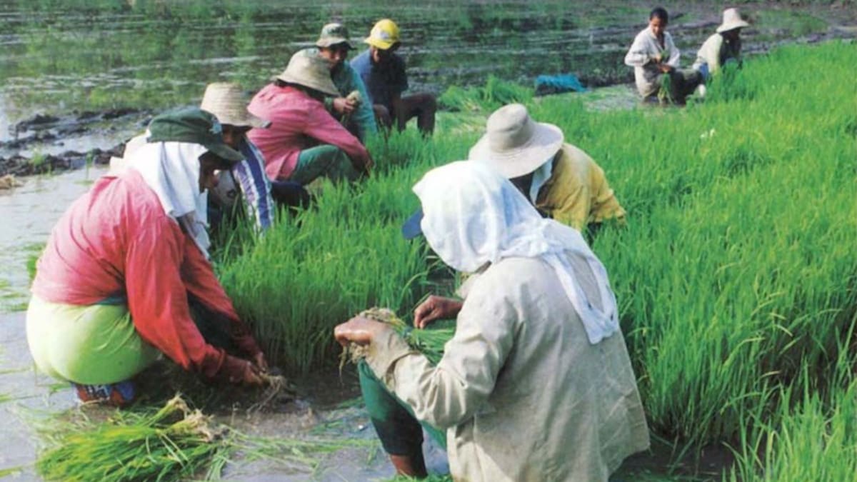 Covid-19 nos obliga a repensar qué estamos haciendo con recursos naturales