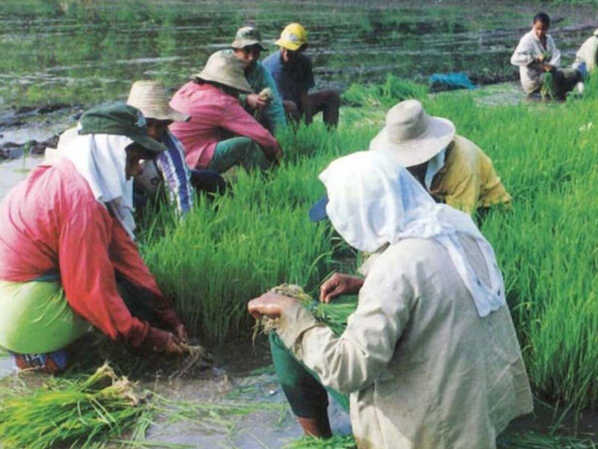 Covid-19 nos obliga a repensar qué estamos haciendo con recursos naturales