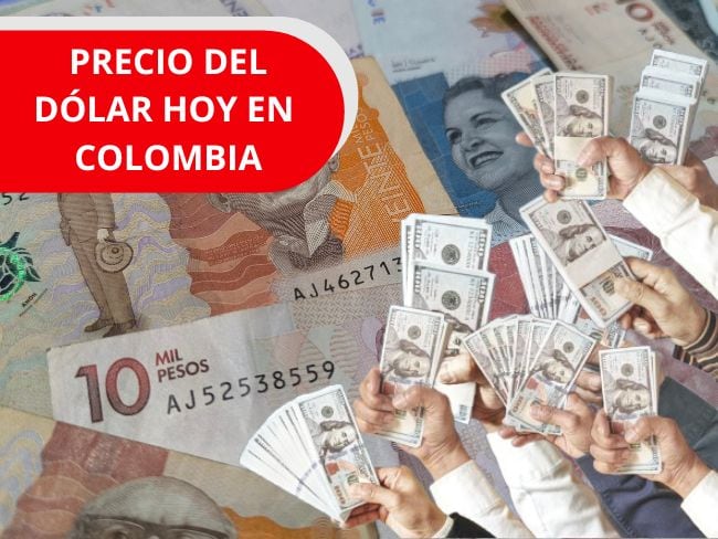 Imagen de referencia, foto Getty images en Canva