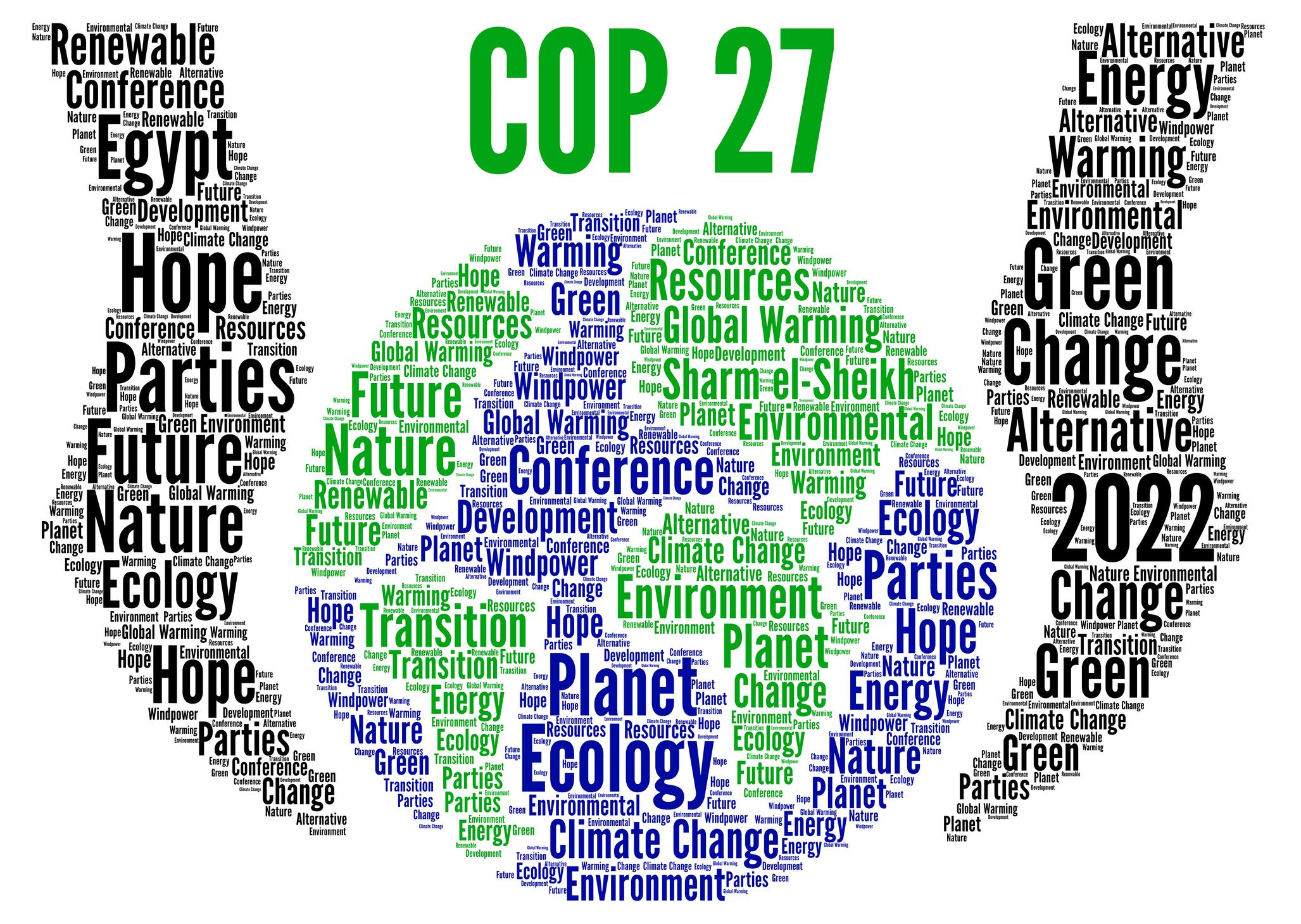 COP 27 / Getty Images