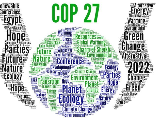 ¿Cuál es el efecto de la COP27 en la lucha contra el cambio climático?