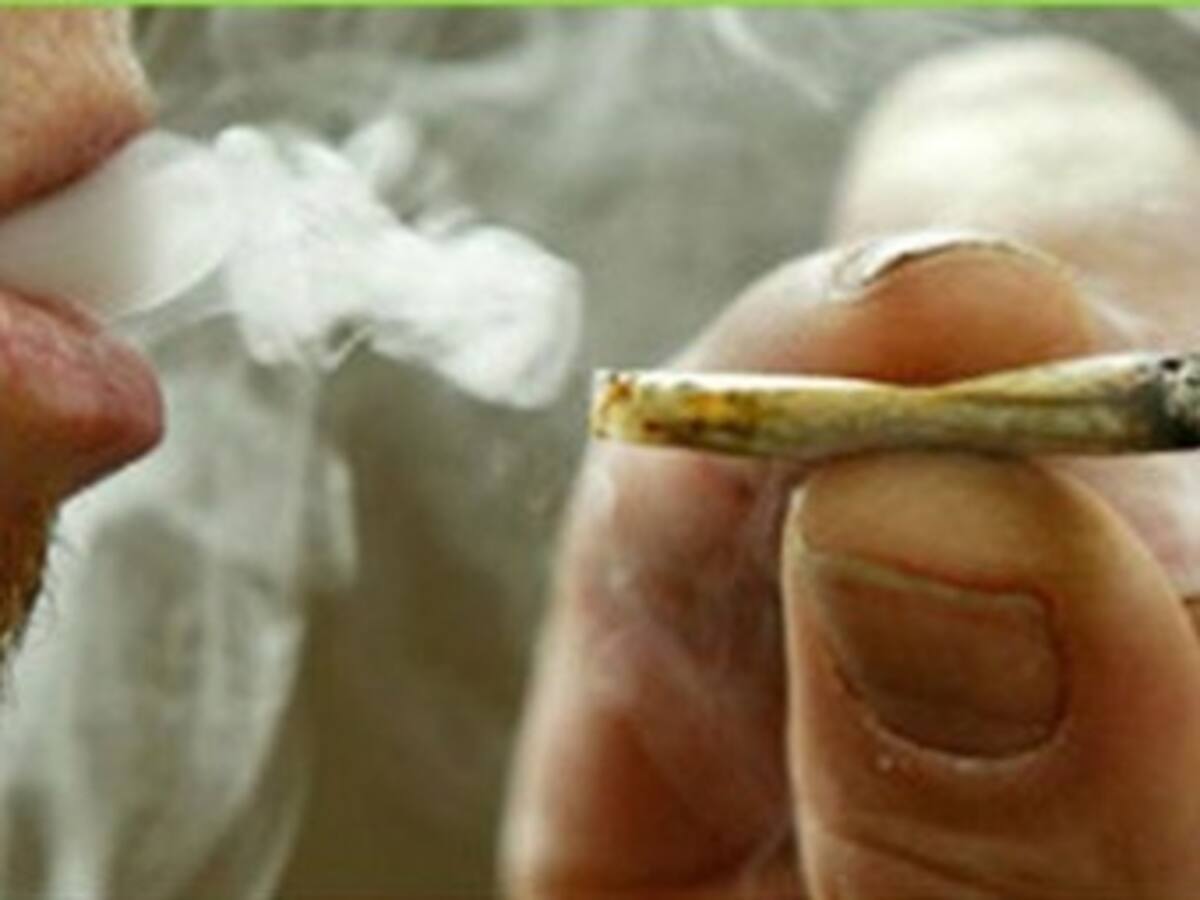 Organización de los Estados Americanos pide debate sobre las leyes de marihuana
