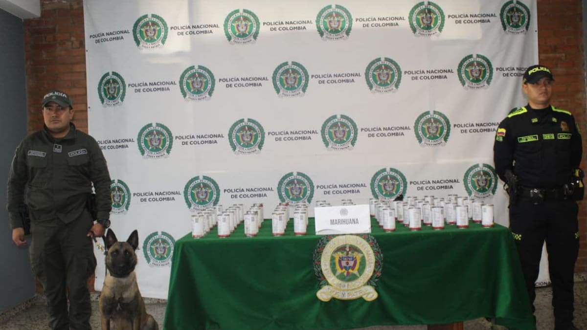 En latas de frijoles transportaban más de 21 kilos de marihuana desde Cali hacia Soacha