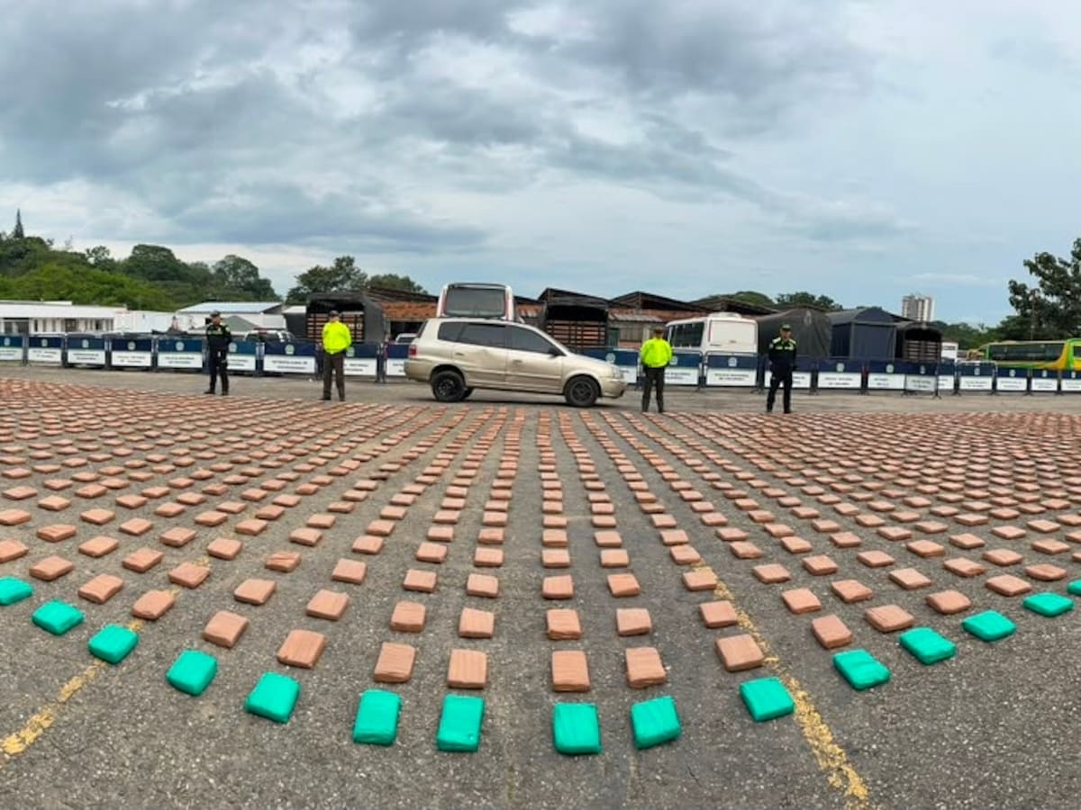 Frustran millonario cargamento de droga en Santander: incautan más de una tonelada de marihuana