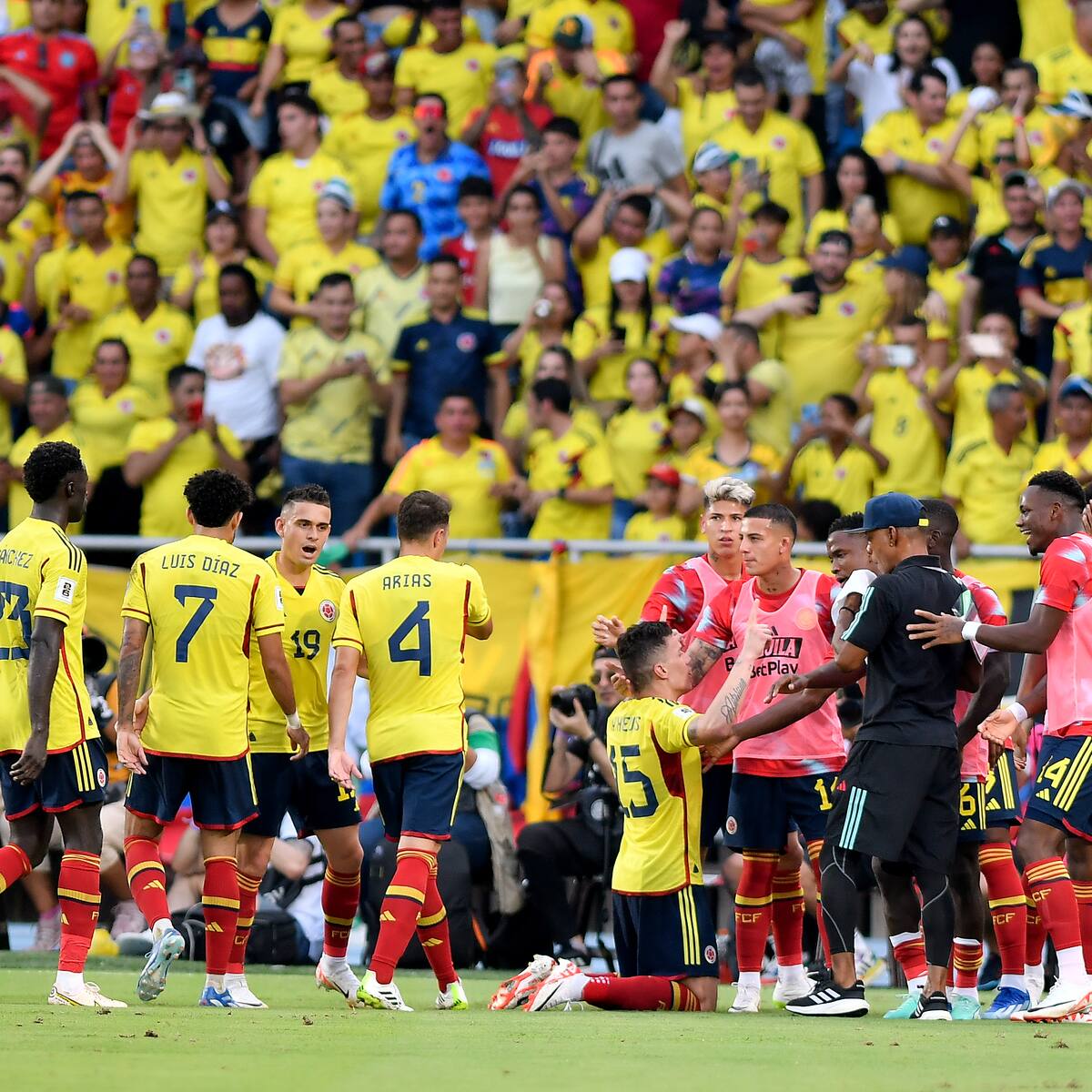 Colombia, entre las Selecciones con mejor promedio de asistencia en la historia