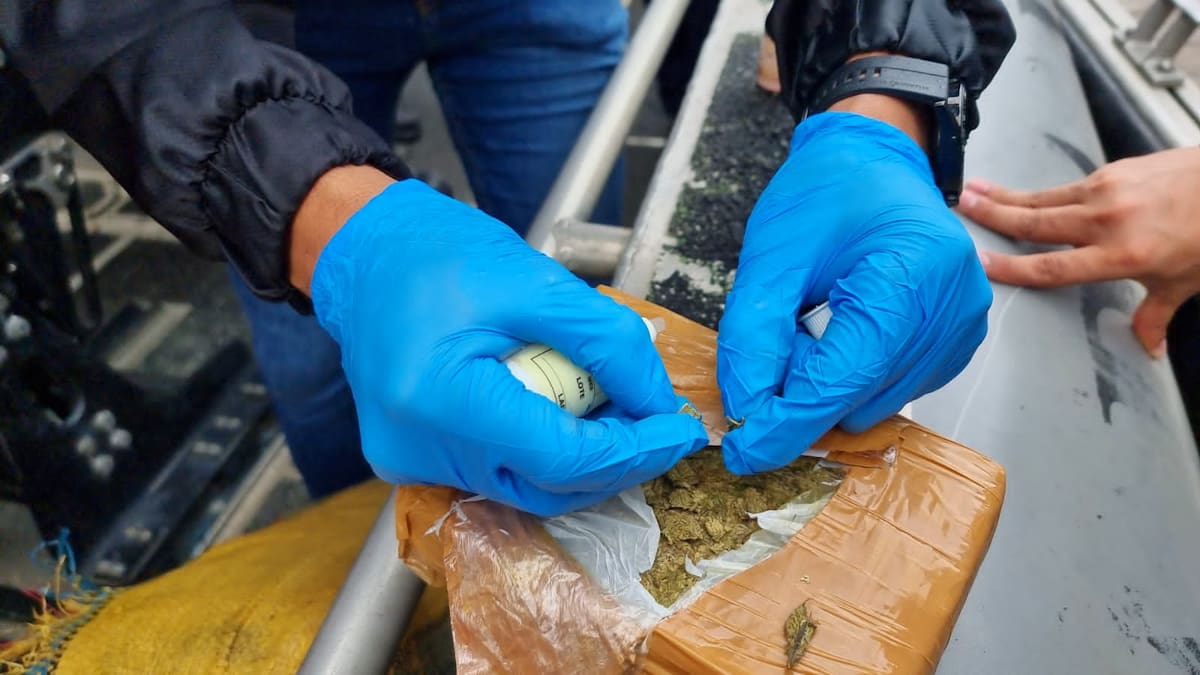 Decomisan 700 kilos de marihuana que iban a ser distribuidos en tres localidades de Bogotá