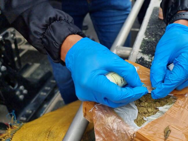 Marihuana decomisada en Nariño