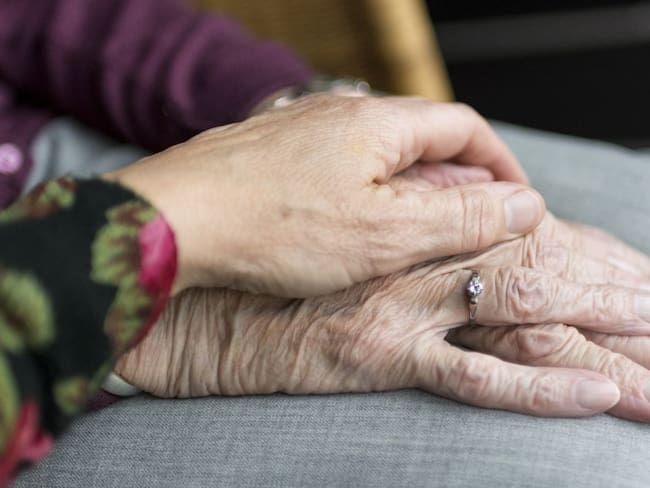 Estudio revela un mecanismo para eliminar células envejecidas