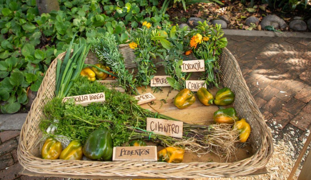 Mercados Campesinos: Mujeres serán protagonistas en el Jardín Botánico