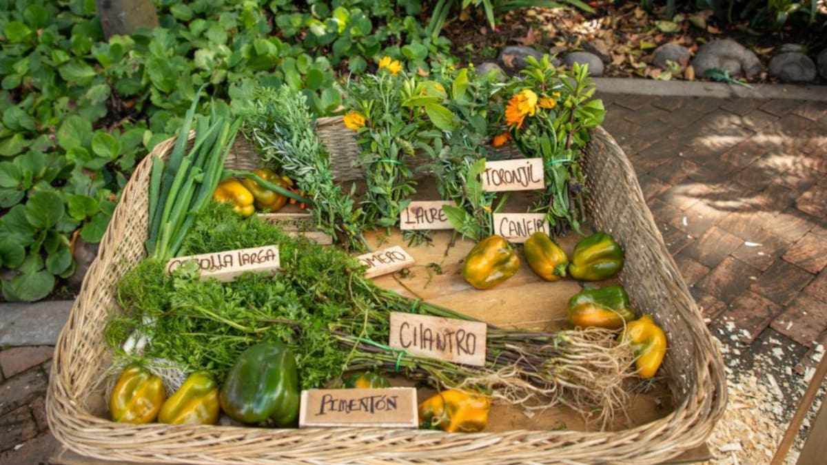 Mercados Campesinos: Mujeres serán protagonistas en el Jardín Botánico