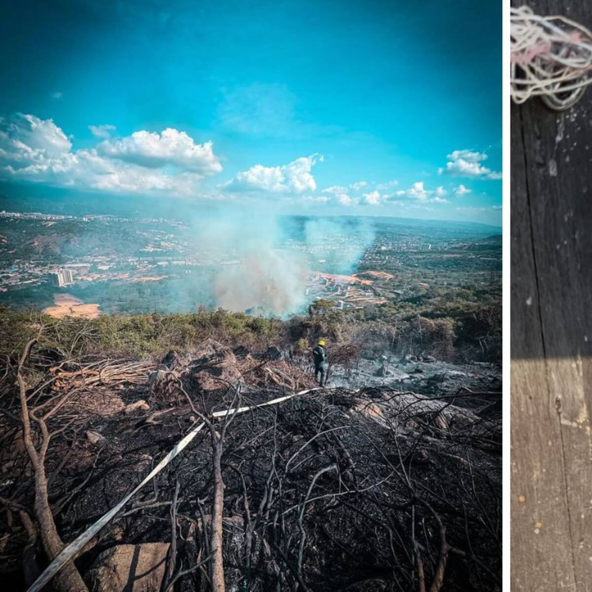 Fundación de animales resultó afectada tras incendio forestal en Girón