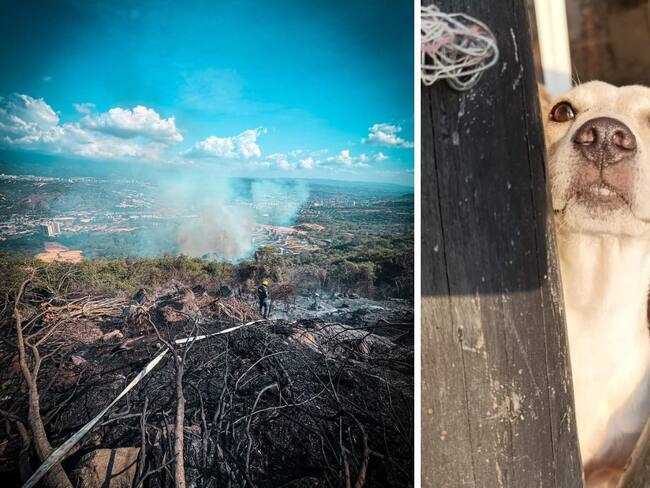 Héctor Fabio Rodríguez García, director resguardo