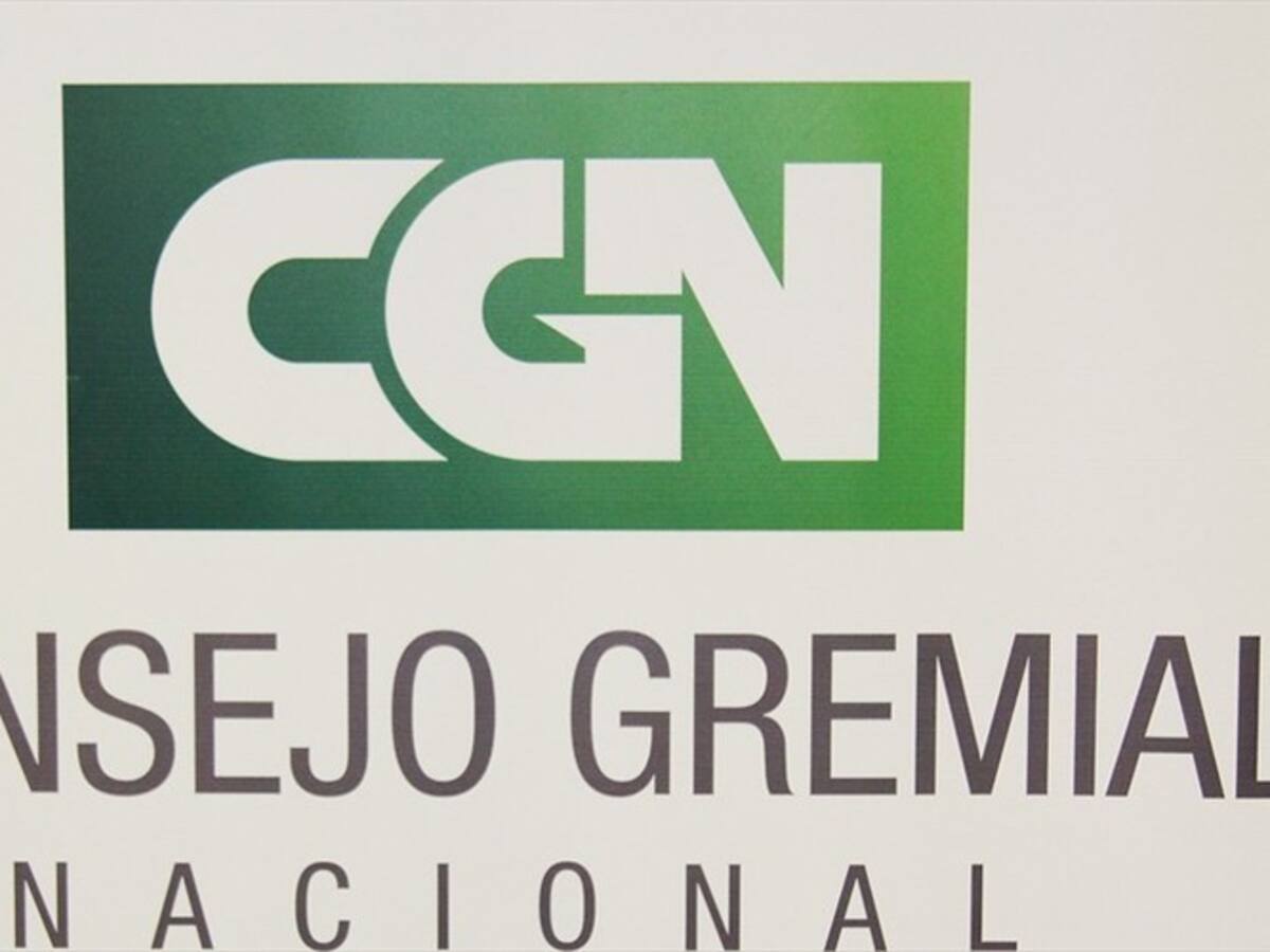El exministro Germán Arce es el nuevo presidente del Consejo Gremial