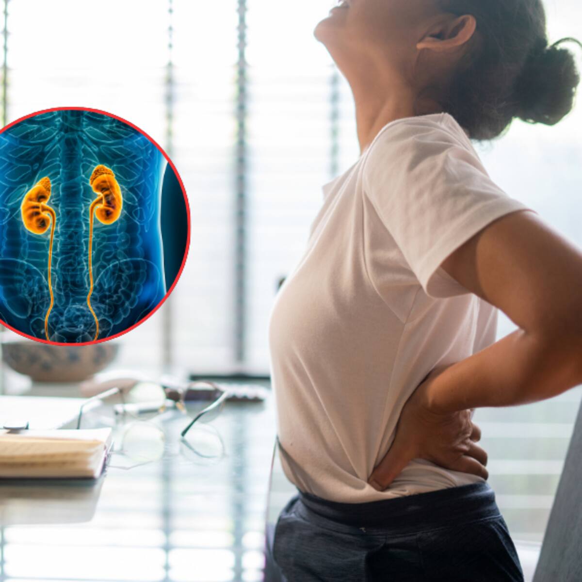 ¿Sospecha que sufre de los riñones? Estos síntomas podrían ser alerta de que lo padece