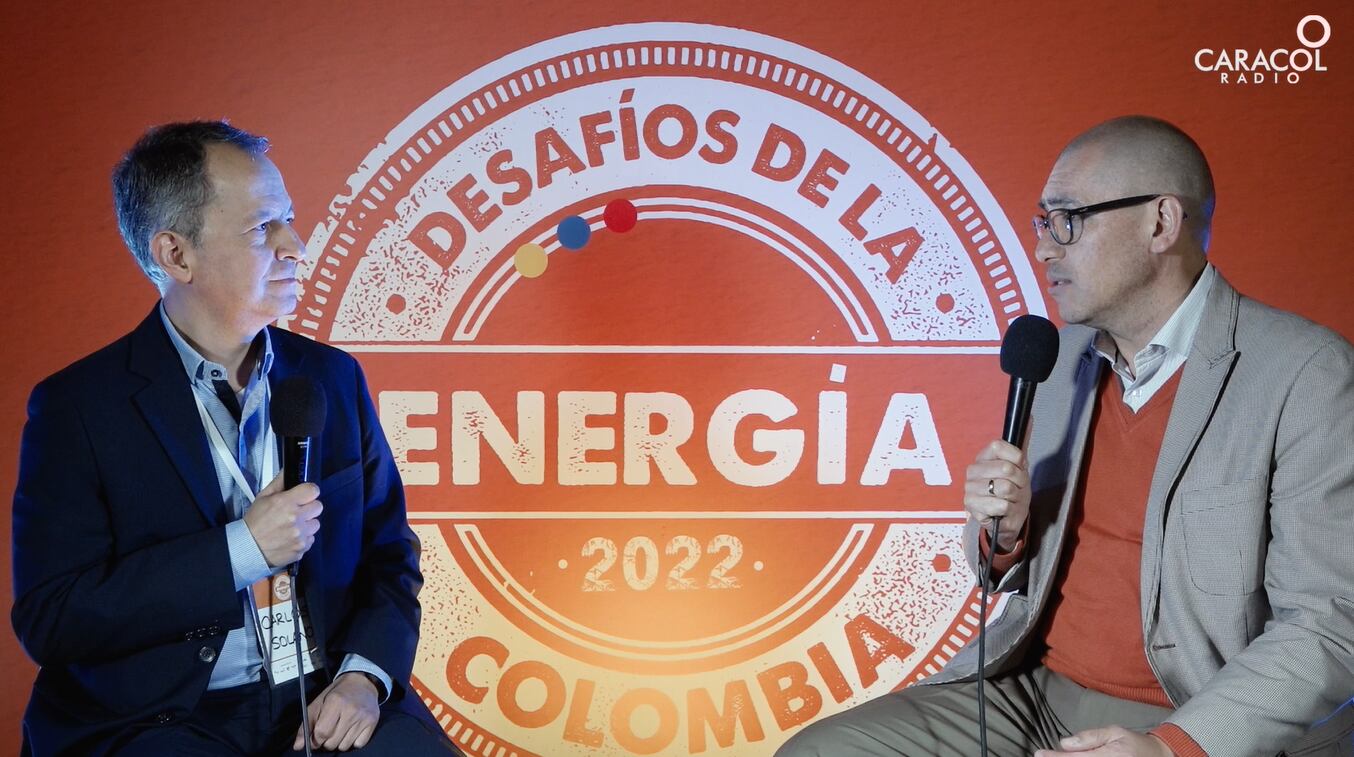 Carlos Solano, líder de Asuntos Regulatorios de Celsia