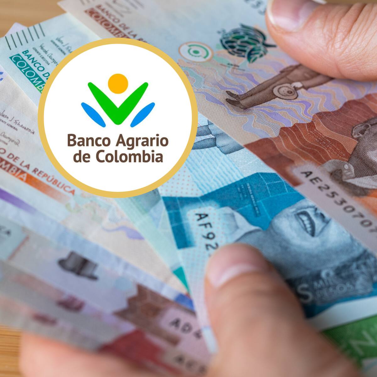 Encapuchados ingresaron al banco Agrario de Caucasia y se robaron $714 millones