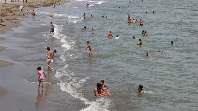 Dos mujeres presentaron paro respiratorio al tener contacto con la falsa medusa. Foto: Colprensa