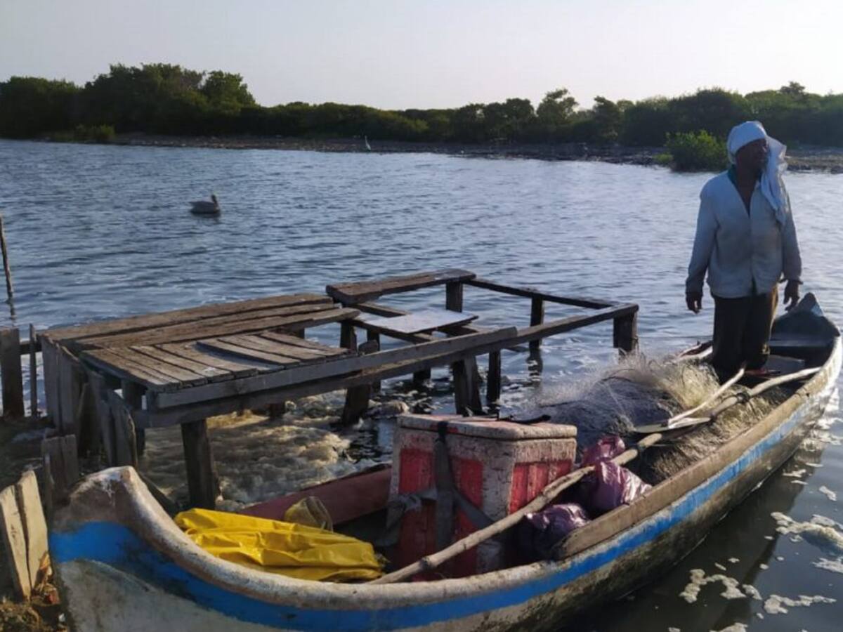 Escasez de peces en la Ciénaga de La Virgen por bajo nivel del agua
