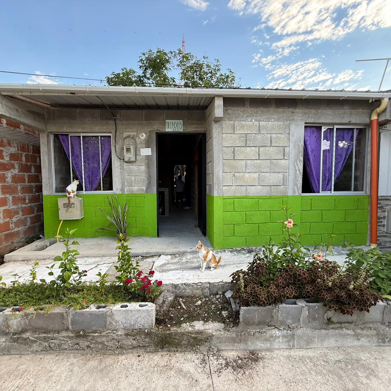 Pintuco y Viva apoyan reconstrucción de viviendas afectadas por sismo. Cortesía: VIVA